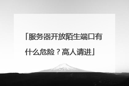 服务器开放陌生端口有什么危险？高人请进