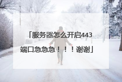 服务器怎么开启443端口急急急！！！谢谢