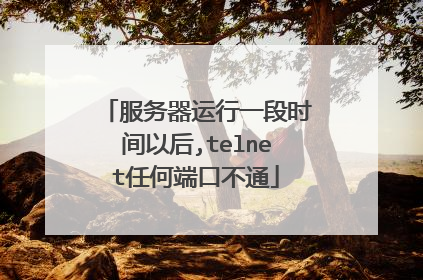 服务器运行一段时间以后,telnet任何端口不通