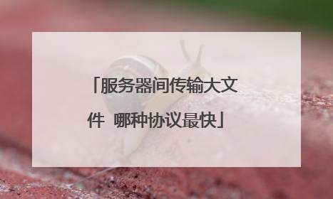 服务器间传输大文件 哪种协议最快