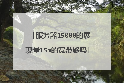 服务器15000的展现量15m的宽带够吗