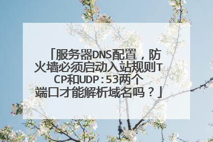 服务器DNS配置，防火墙必须启动入站规则TCP和UDP:53两个端口才能解析域名吗？