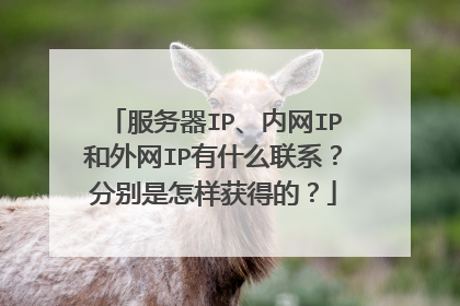服务器IP、内网IP和外网IP有什么联系?分别是怎样获得的?