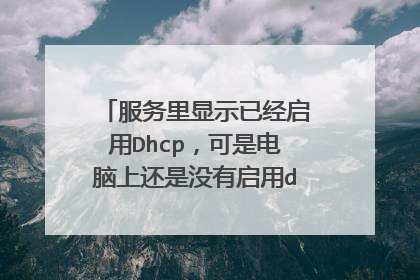 服务里显示已经启用Dhcp，可是电脑上还是没有启用dhcp。怎么办？