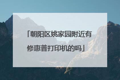 朝阳区姚家园附近有修惠普打印机的吗