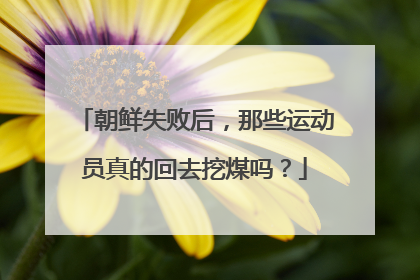 朝鲜失败后,那些运动员真的回去挖煤吗?