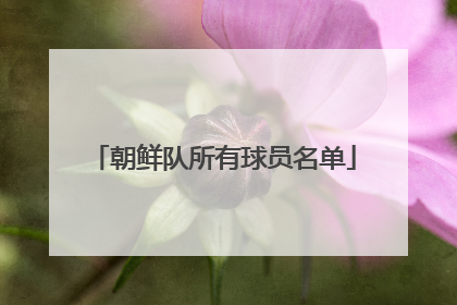 朝鲜队所有球员名单