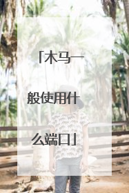 木马一般使用什么端口