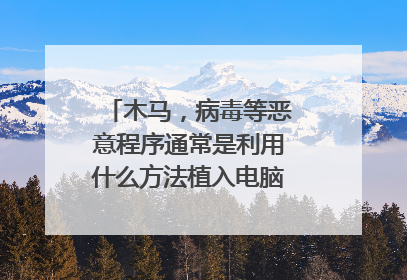木马,病毒等恶意程序通常是利用什么方法植入电脑的?如何防范