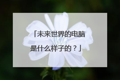 未来世界的电脑是什么样子的？