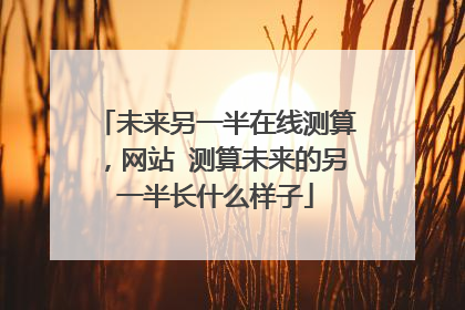 未来另一半在线测算,网站 测算未来的另一半长什么样子