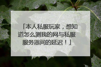 本人私服玩家,想知道怎么测我的网与私服服务器间的延迟!