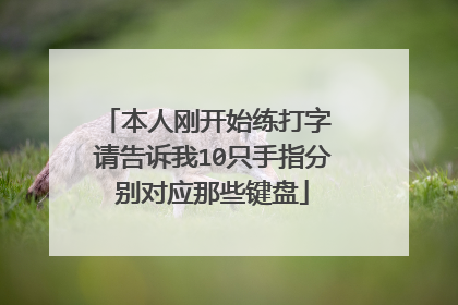 本人刚开始练打字 请告诉我10只手指分别对应那些键盘