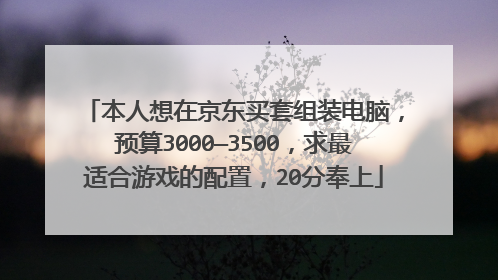 本人想在京东买套组装电脑,预算3000—3500,求最适合游戏的配置,20分奉上