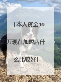本人资金10万现在加盟店什么比较好