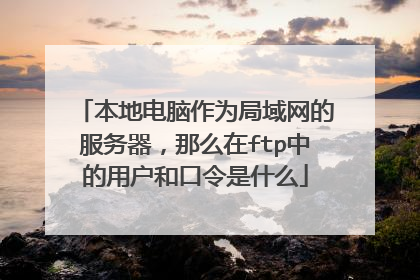 本地电脑作为局域网的服务器，那么在ftp中的用户和口令是什么