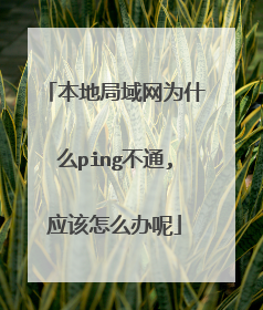 本地局域网为什么ping不通,应该怎么办呢