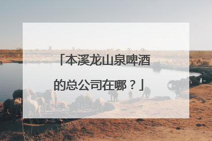 本溪龙山泉啤酒的总公司在哪?