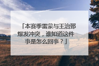 本赛季雷蒙与王治郅爆发冲突，谁知道这件事是怎么回事？