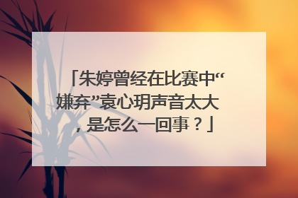 朱婷曾经在比赛中“嫌弃”袁心玥声音太大，是怎么一回事？