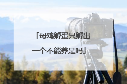 母鸡孵蛋只孵出一个不能养是吗