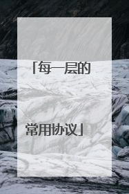 每一层的常用协议