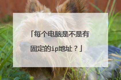 每个电脑是不是有固定的ip地址?