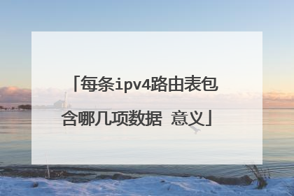每条ipv4路由表包含哪几项数据 意义