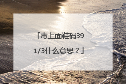 毒上面鞋码39 1/3什么意思?
