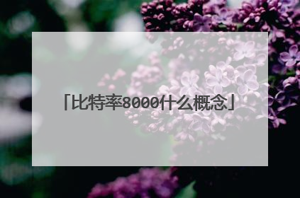 比特率8000什么概念