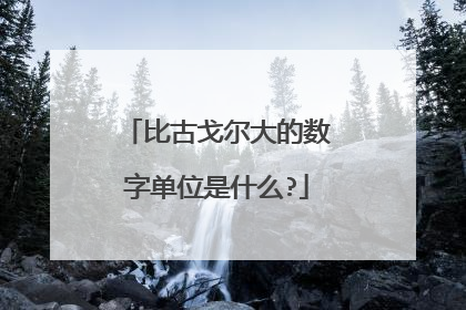 比古戈尔大的数字单位是什么?