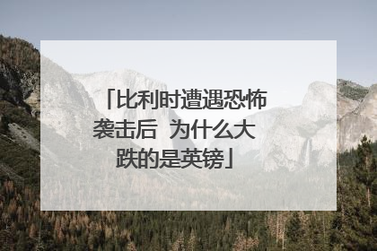 比利时遭遇恐怖袭击后 为什么大跌的是英镑