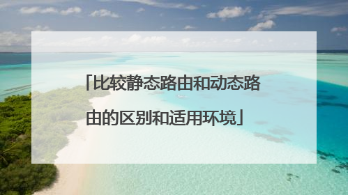 比较静态路由和动态路由的区别和适用环境