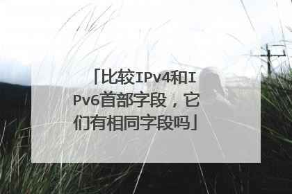 比较IPv4和IPv6首部字段,它们有相同字段吗
