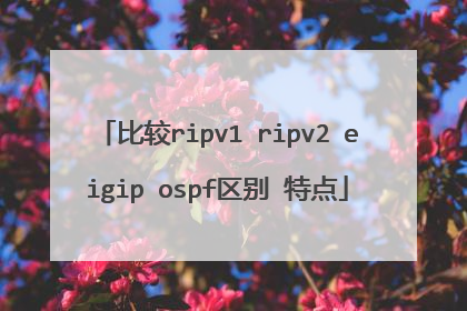 比较ripv1 ripv2 eigip ospf区别 特点