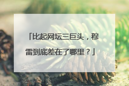 比起网坛三巨头,穆雷到底差在了哪里?