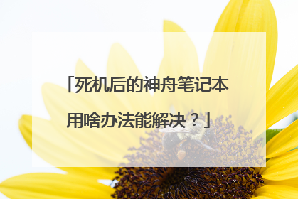死机后的神舟笔记本用啥办法能解决?
