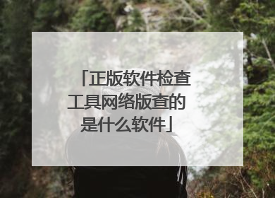 正版软件检查工具网络版查的是什么软件