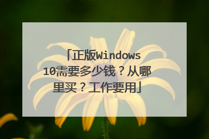 正版Windows10需要多少钱？从哪里买？工作要用