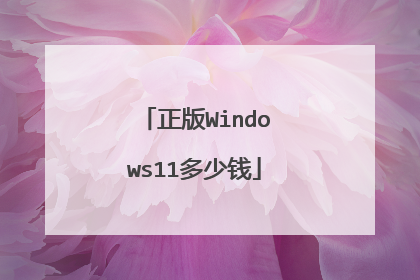 正版Windows11多少钱