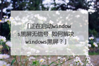 正在启动windows黑屏无信号 如何解决windows黑屏?