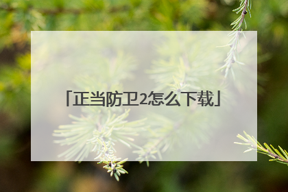 正当防卫2怎么下载