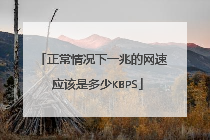 正常情况下一兆的网速应该是多少KBPS