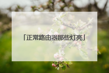 正常路由器那些灯亮