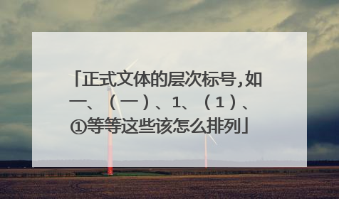 正式文体的层次标号,如一、(一)、1、(1)、①等等这些该怎么排列