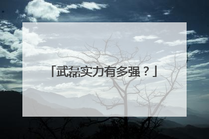 武磊实力有多强？