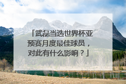 武磊当选世界杯亚预赛月度最佳球员,对此有什么影响?