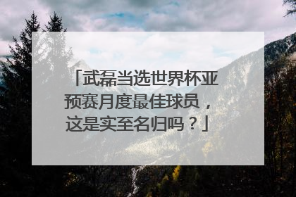 武磊当选世界杯亚预赛月度最佳球员,这是实至名归吗?