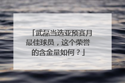 武磊当选亚预赛月最佳球员,这个荣誉的含金量如何?