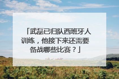 武磊已归队西班牙人训练,他接下来还需要备战哪些比赛?